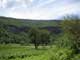 The sheer cliffs of the crater wall shield the hoya completely from the outside world